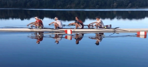 A four-person rowing crew moving together in a single line across still water at dawn.